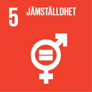 Globala mål 5