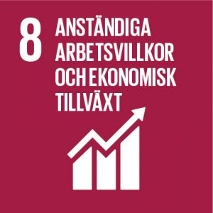 Globala mål 8