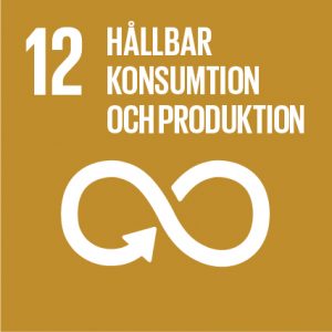 Globala mål 12